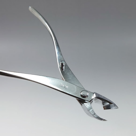 Kaneshin Narrow-Edge Bonsai Branch Cutter – 180 mm, Left- and Right-Handed, Chrome-Plated, 6BX